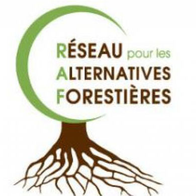 logo RAF